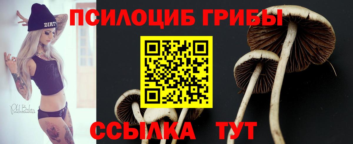 Галлюциногенные грибы ЛСД  Галлюциногенные грибы Psilocybine cubensis  Уфа  Вход с VPN 